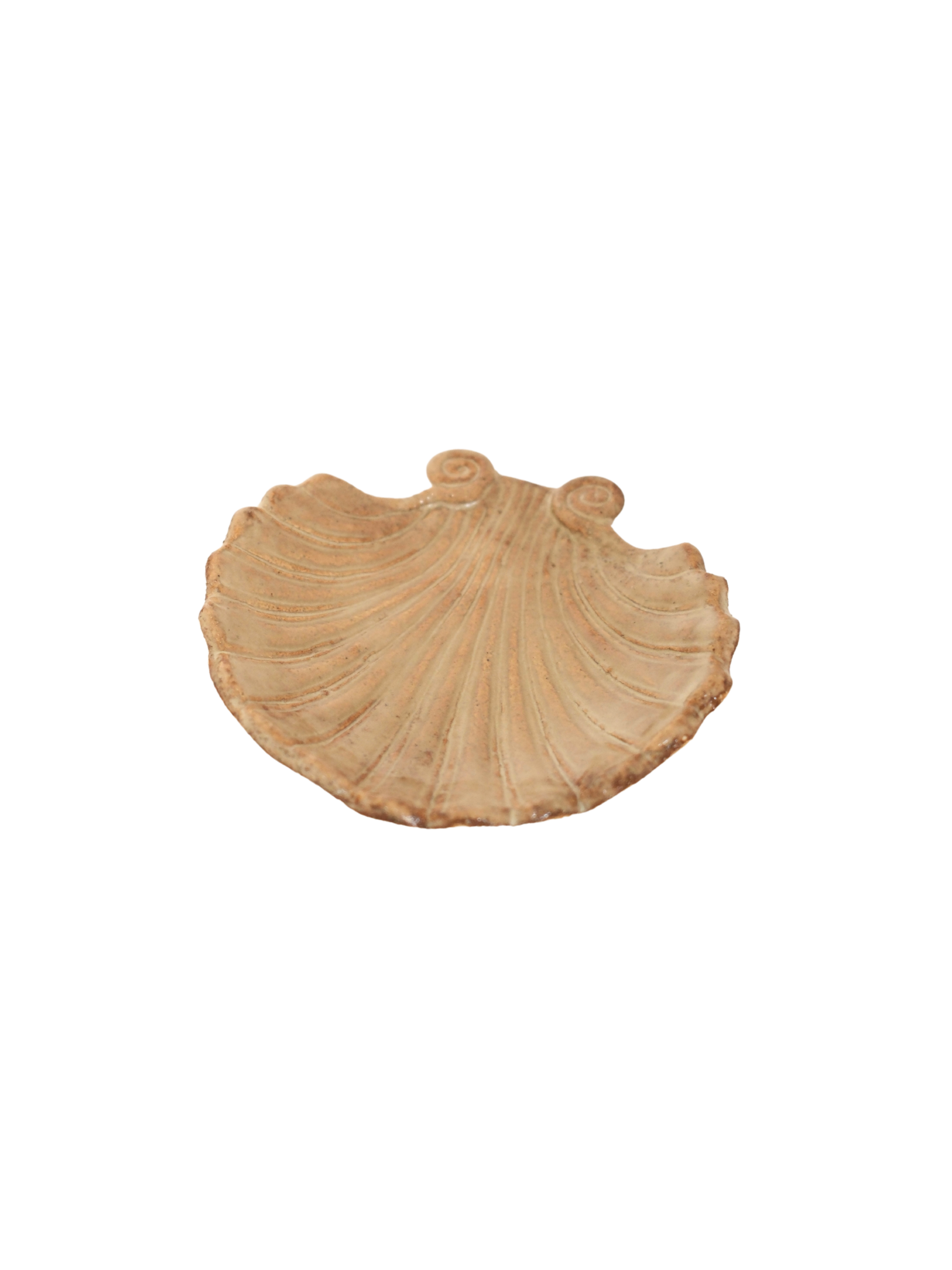 shell dish