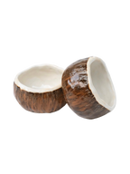 coconut bowl PREORDER