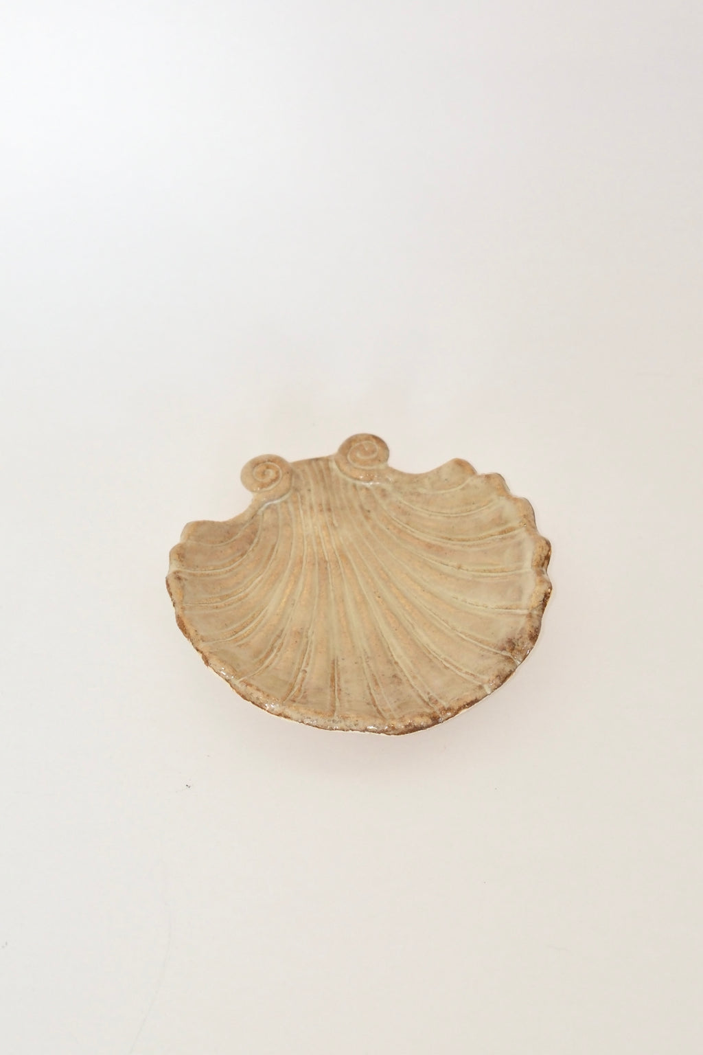 shell dish