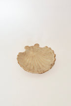 shell dish